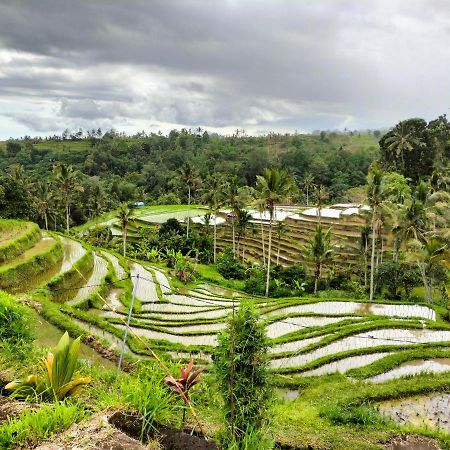 Magical Breeze Cabin Angsri Bagian luar foto